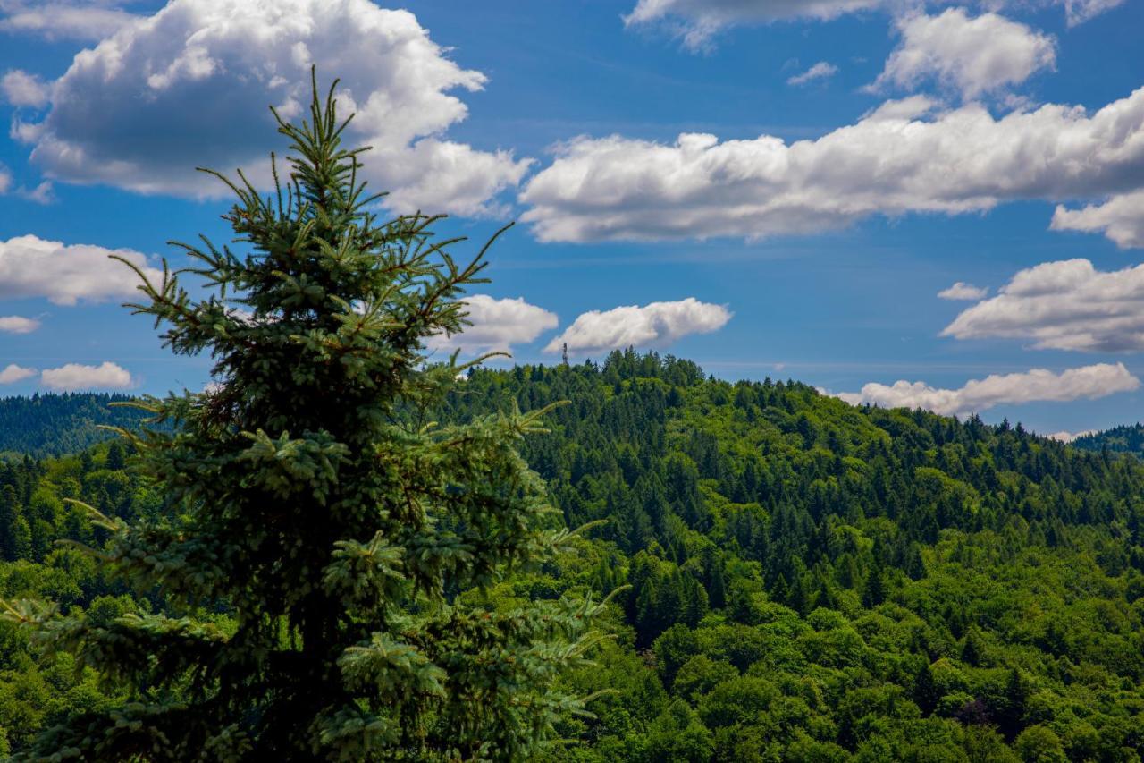 Sun & Sport Apartamenty Krynica-Zdroj ภายนอก รูปภาพ